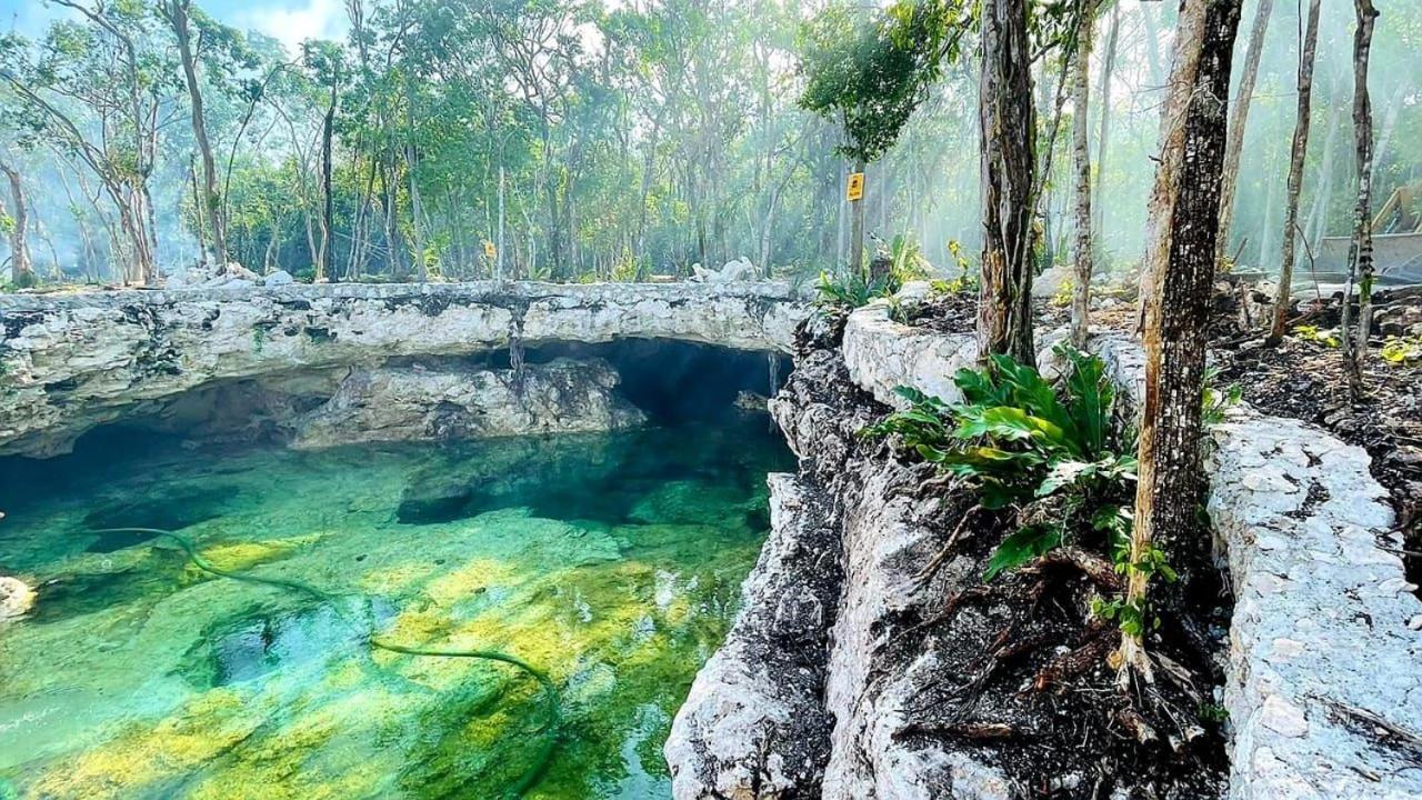 Tiny House En La Selva Con Cenote Natural Privado ตูลุม ภายนอก รูปภาพ