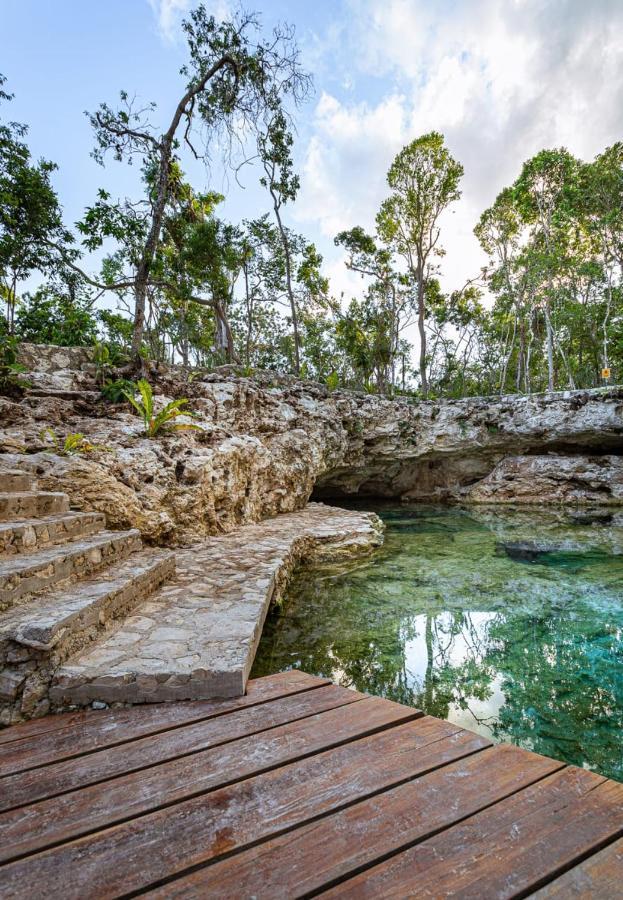 Tiny House En La Selva Con Cenote Natural Privado ตูลุม ภายนอก รูปภาพ